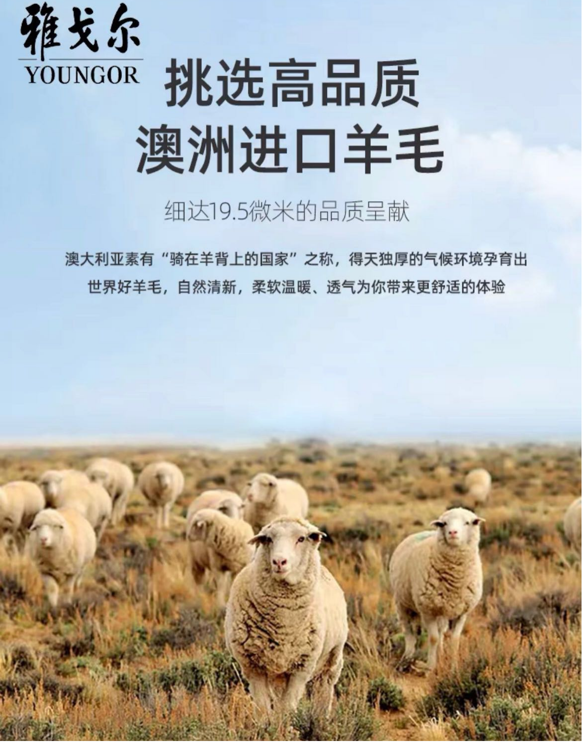 590海洋之神(中国)股份有限公司官网